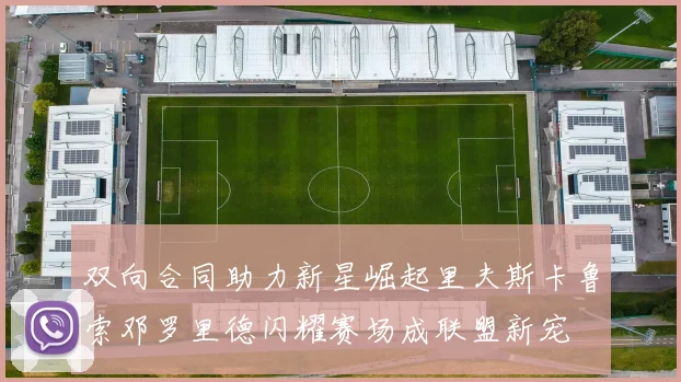 双向合同助力新星崛起里夫斯卡鲁索邓罗里德闪耀赛场成联盟新宠