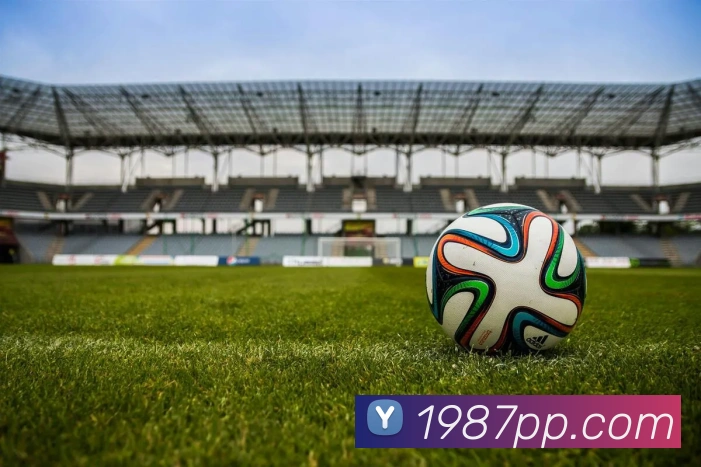 爱游戏平台生态图