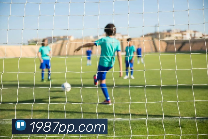 数据防护可视化